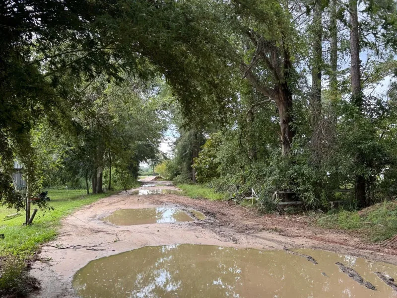 Before — a rutted dirt track under trees with standing water across it.